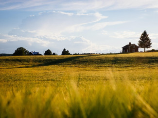 Haus im Sommer